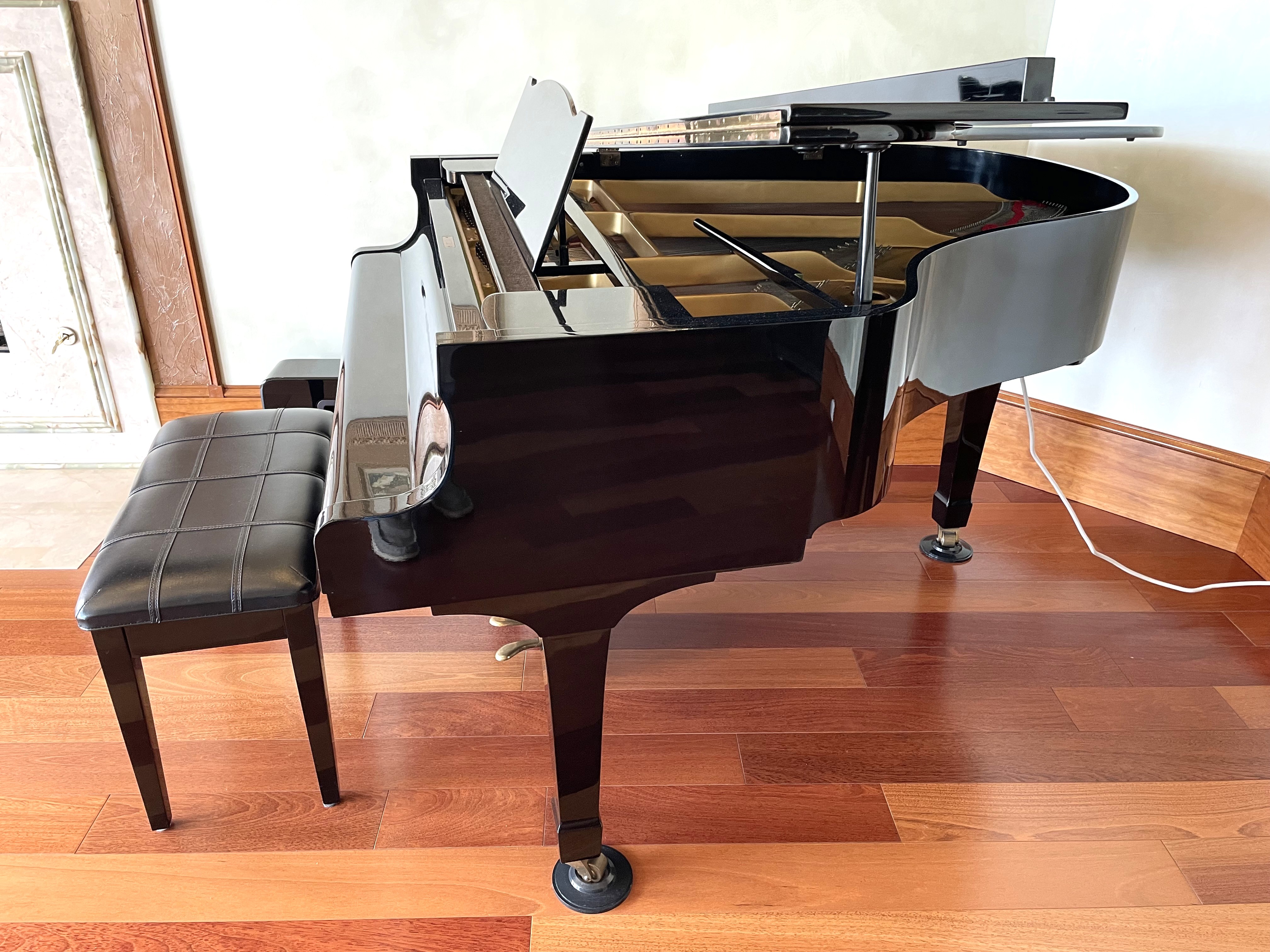 Yamaha G2 with Player System