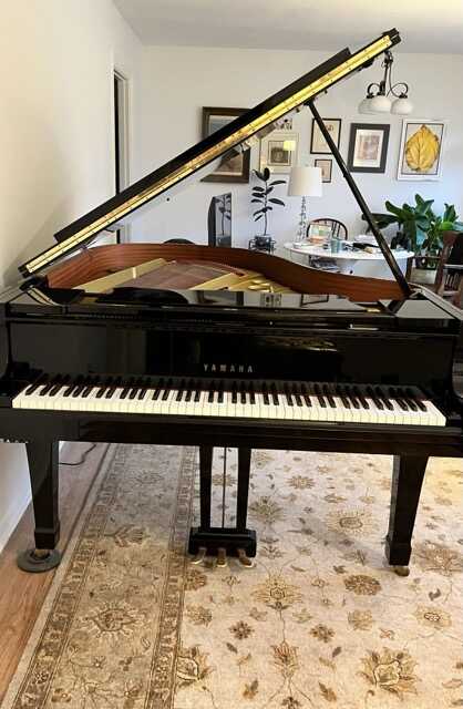 Yamaha 6’ G3 in very good condition 