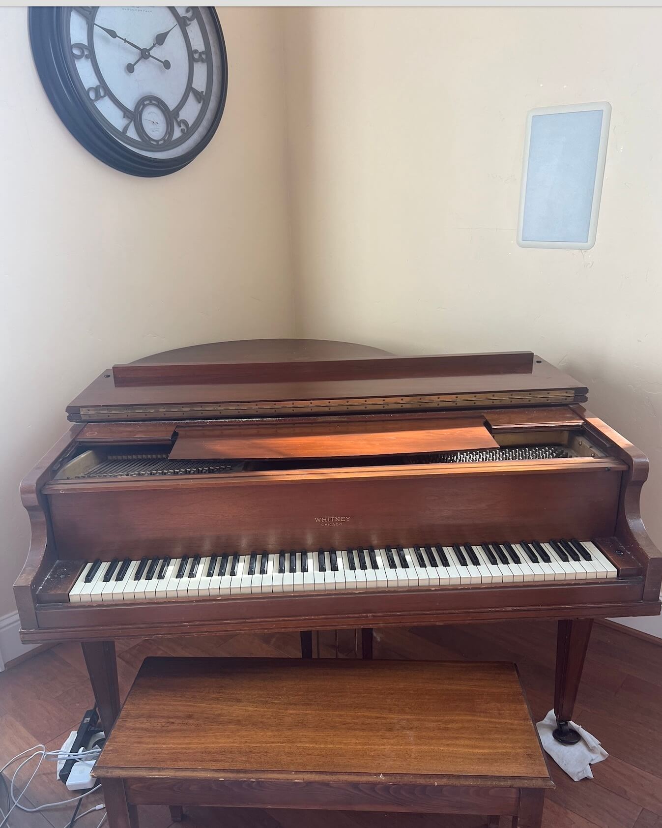 Gently Loved Baby Grand and Bench