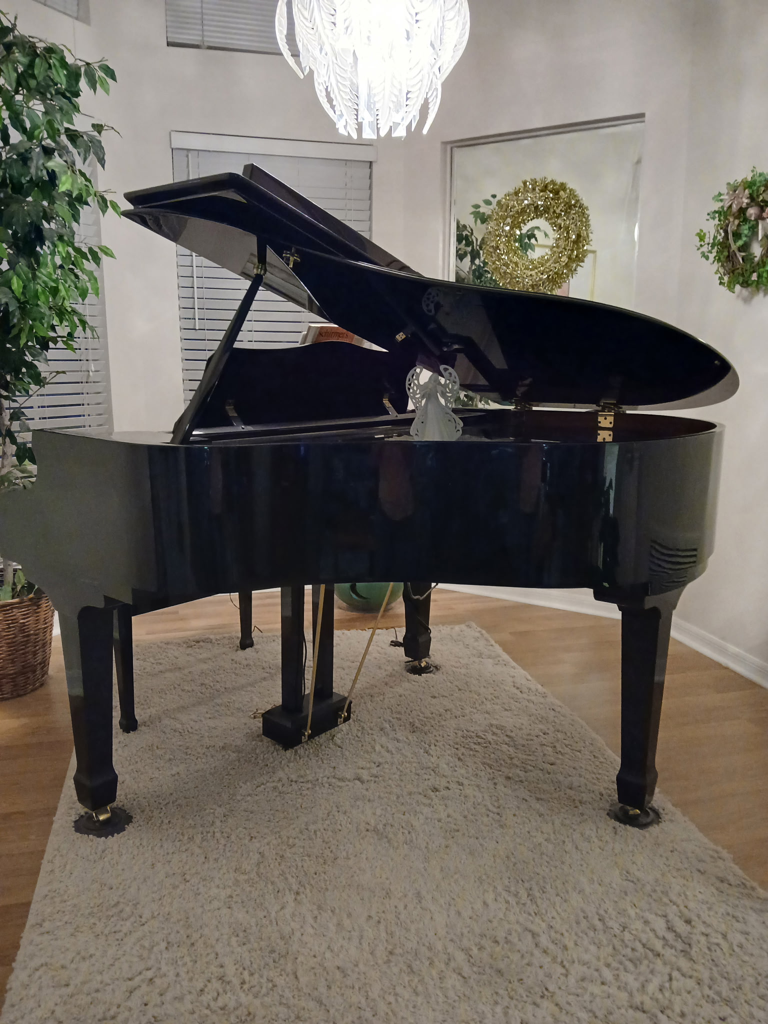 Baby Grand Piano 