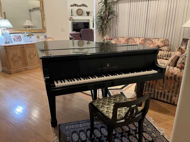 MINT Baby Grand Piano