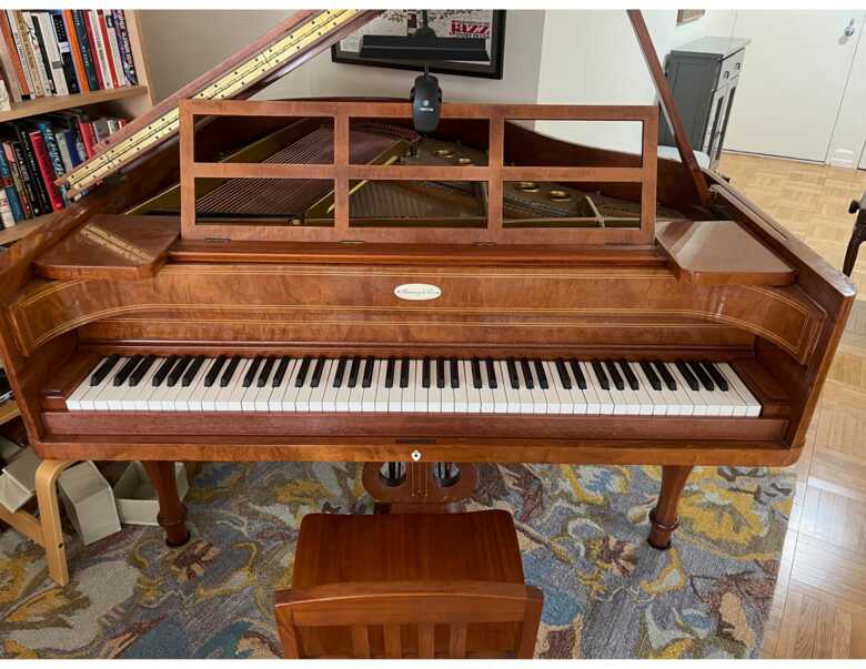 Steinway Model S (exceptionally rare case)