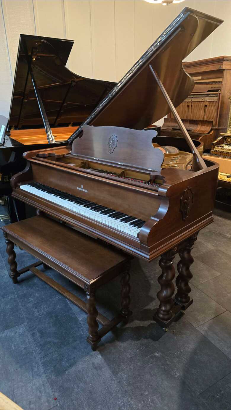 Steinway M Art Case Mediterranean