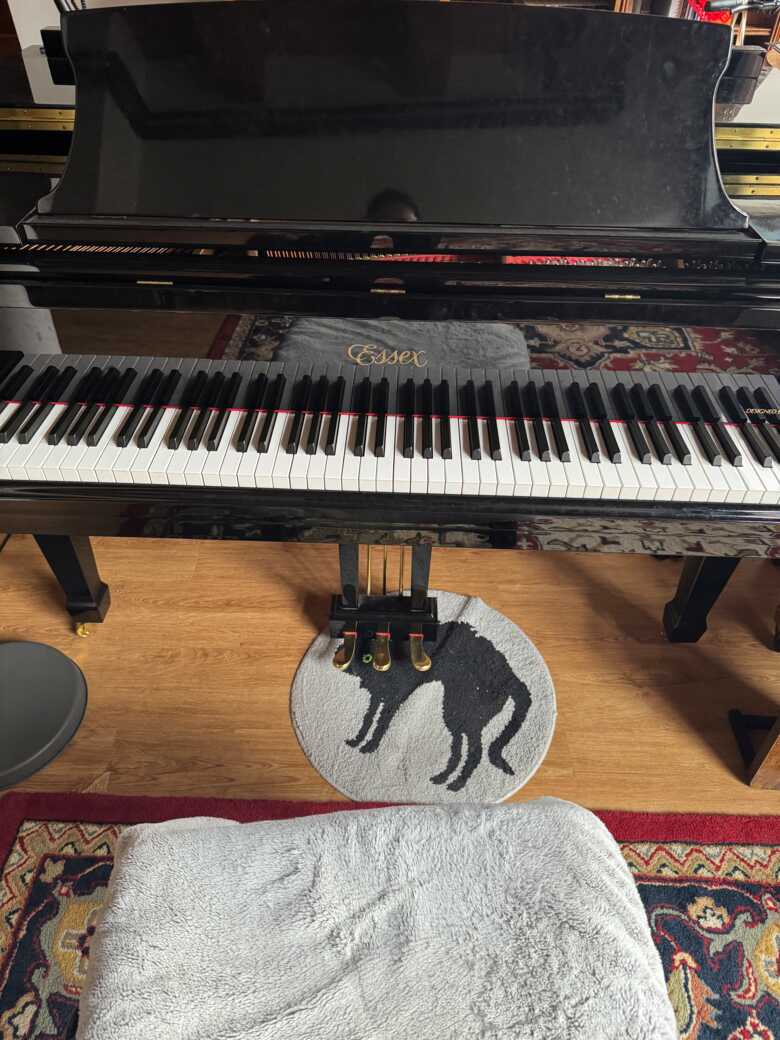 2013 Essex in Excellent Condition