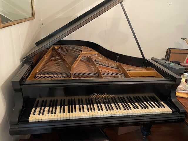 1911 Bluthner Parlor Grand Original Condition