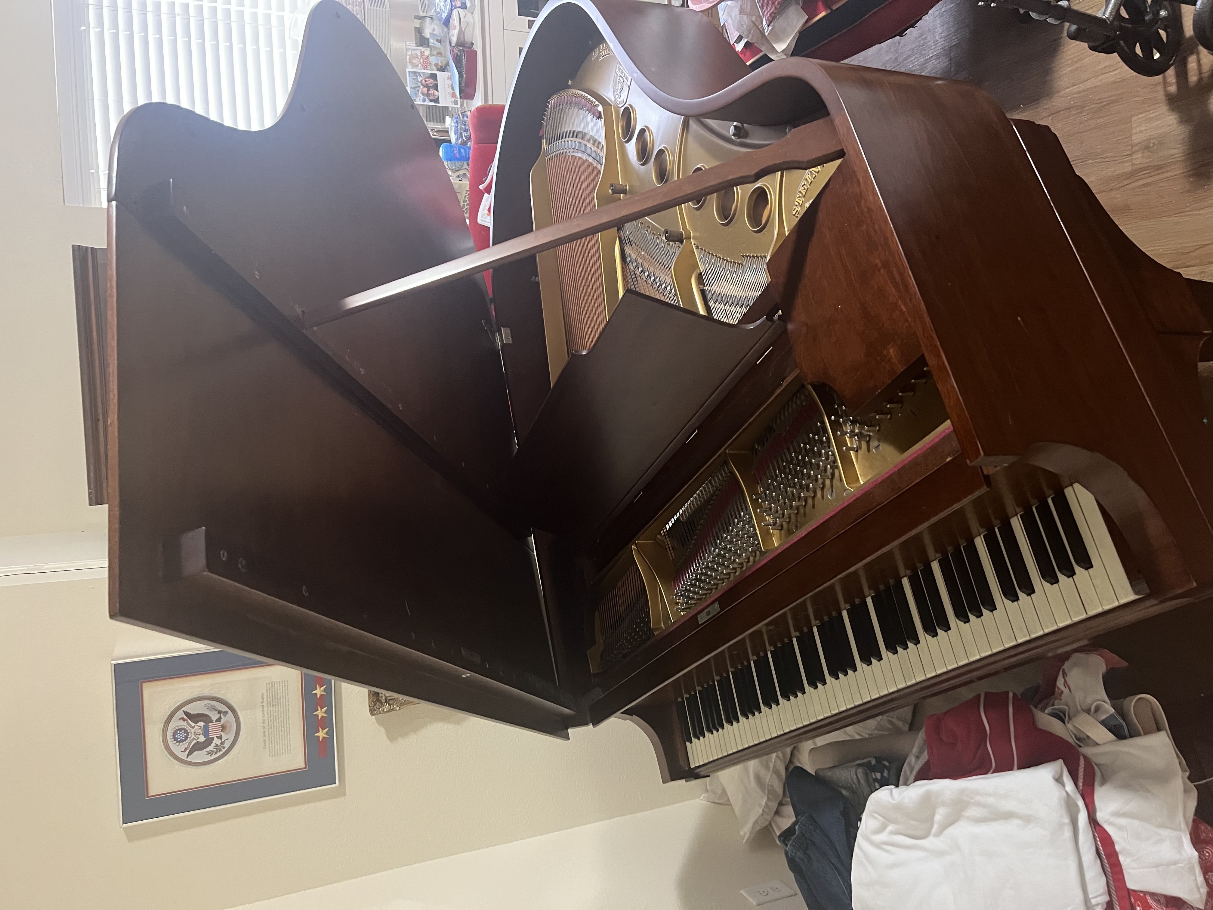 Beautiful Steinway Baby Grand Piano 