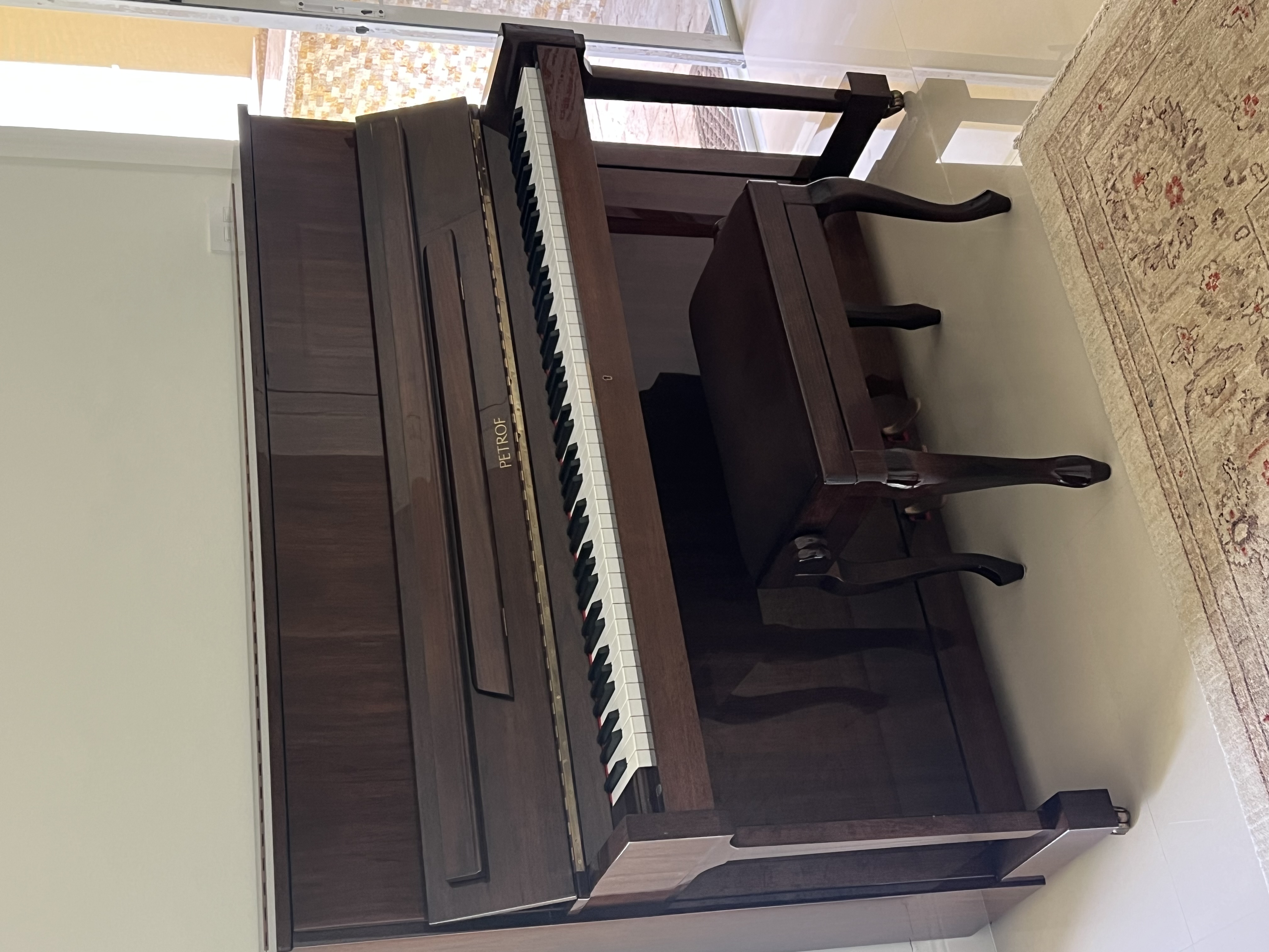 Classy Petrof piano