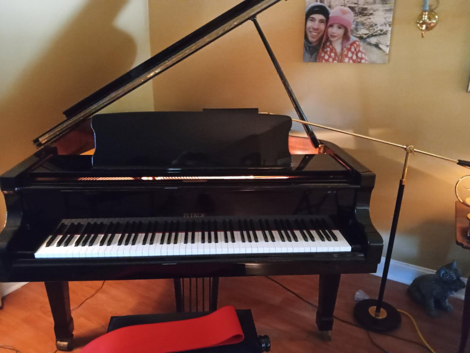 Petrof baby grand piano for sale. New price $2995.