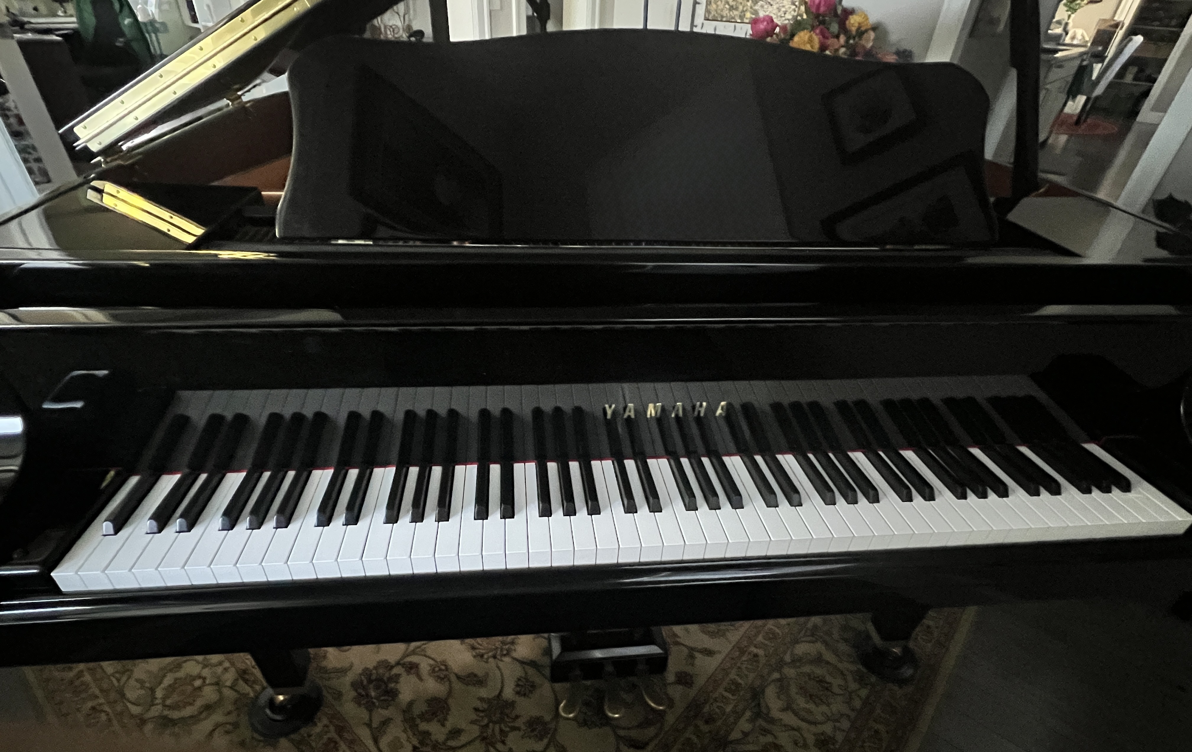 Yamaha GA1 4'11" Baby Grand Piano fits anywhere