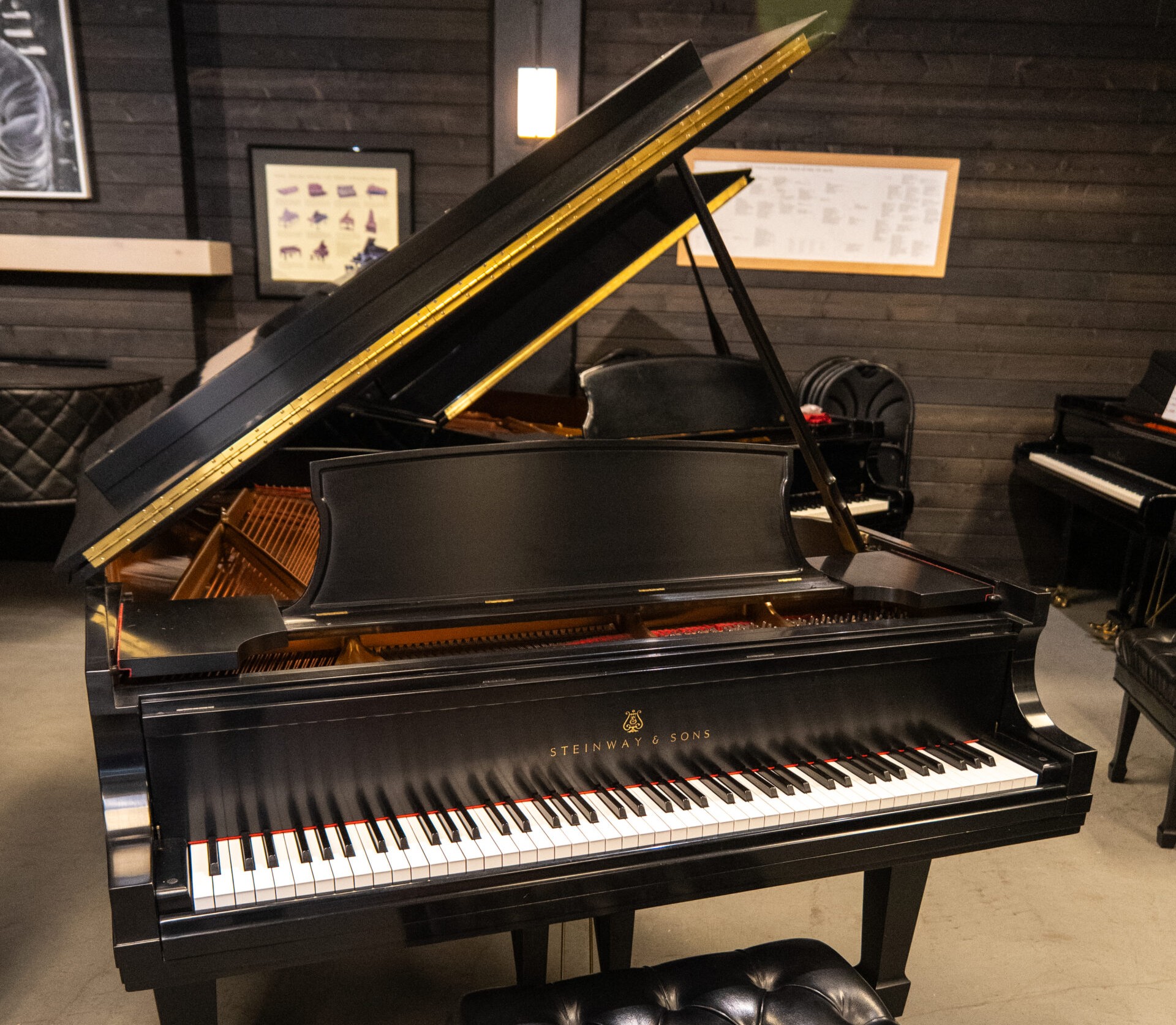 Steinway & Sons Model B Grand Piano