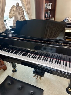 Self-Playing Palatino Baby Grand Piano