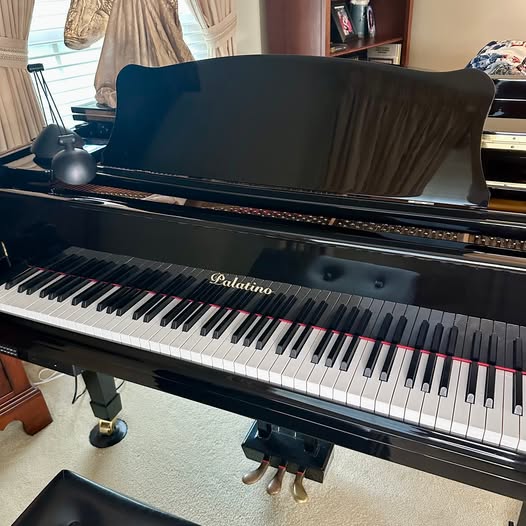 Self-Playing Palatino Baby Grand Piano