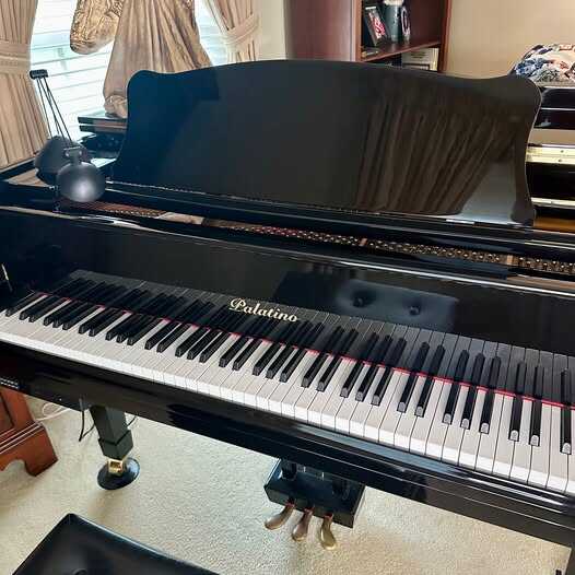 Self-Playing Palatino Baby Grand Piano