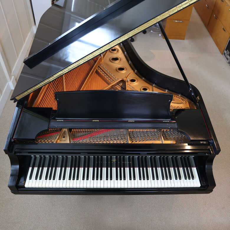 STEINWAY & SONS Model B Semi-Concert Grand 