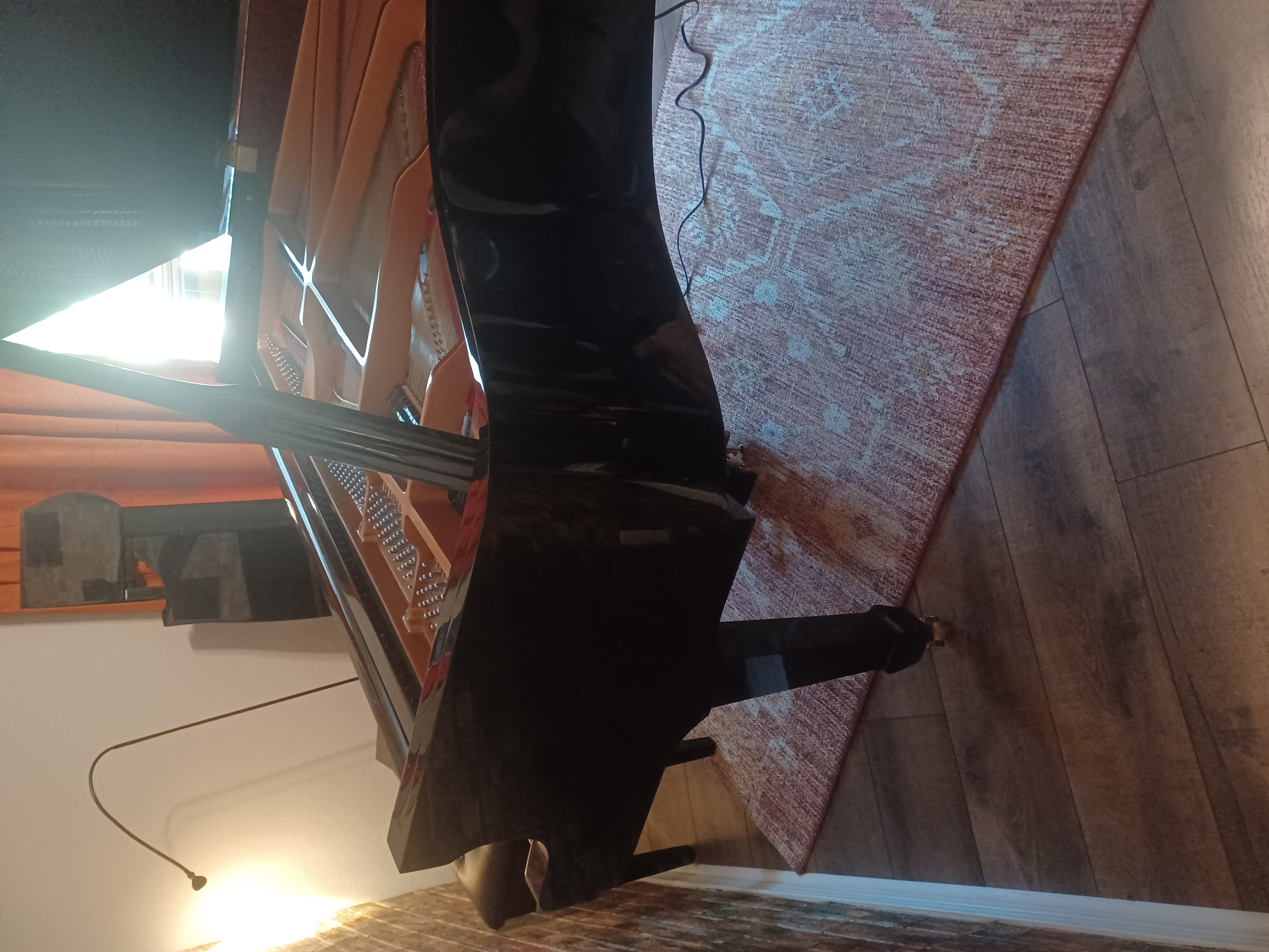 Geyer Baby Grand Piano with QRS PNO Maker system 