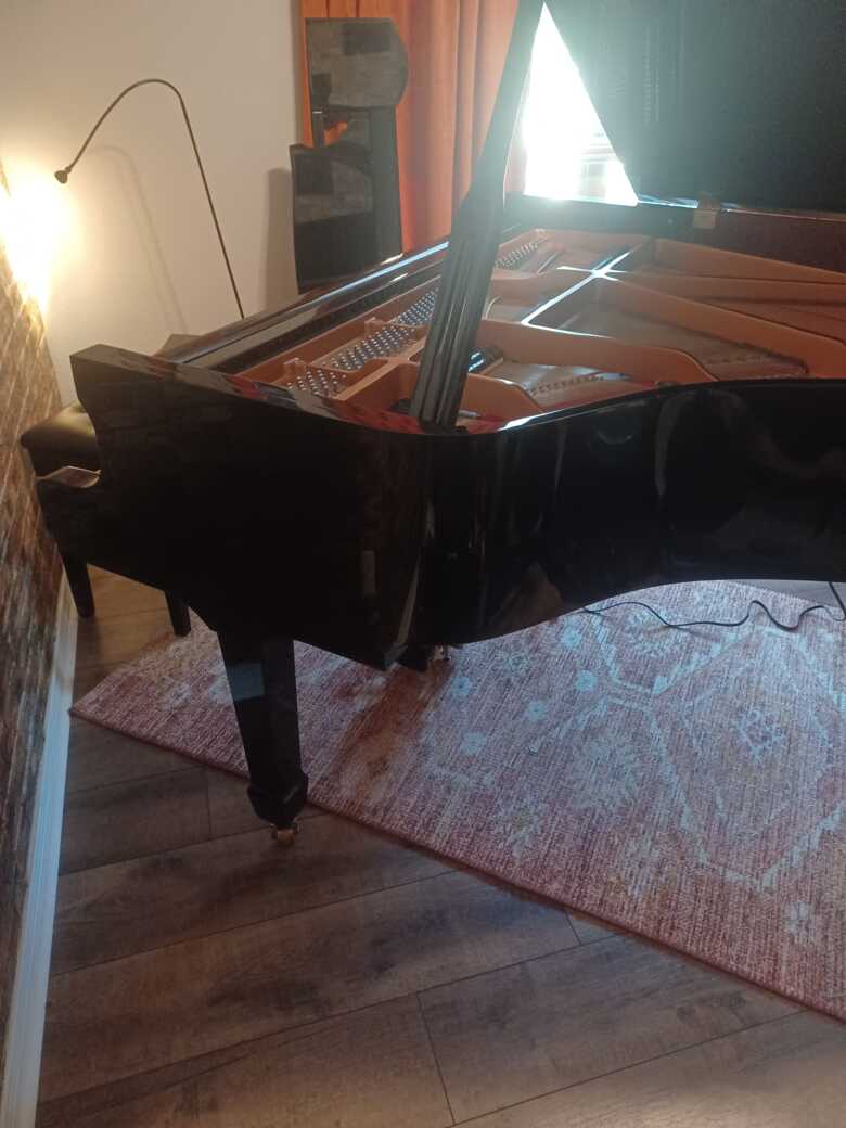 Geyer Baby Grand Piano with QRS PNO Maker system 