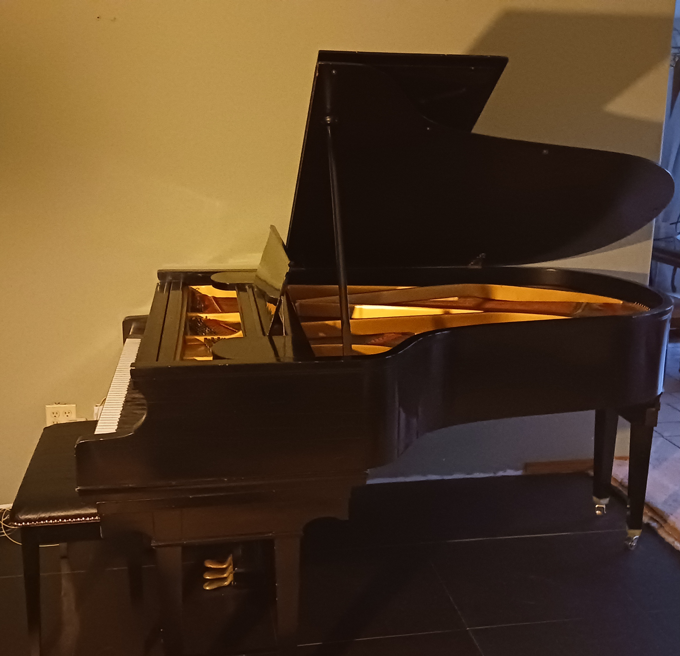Chickering Grand Piano