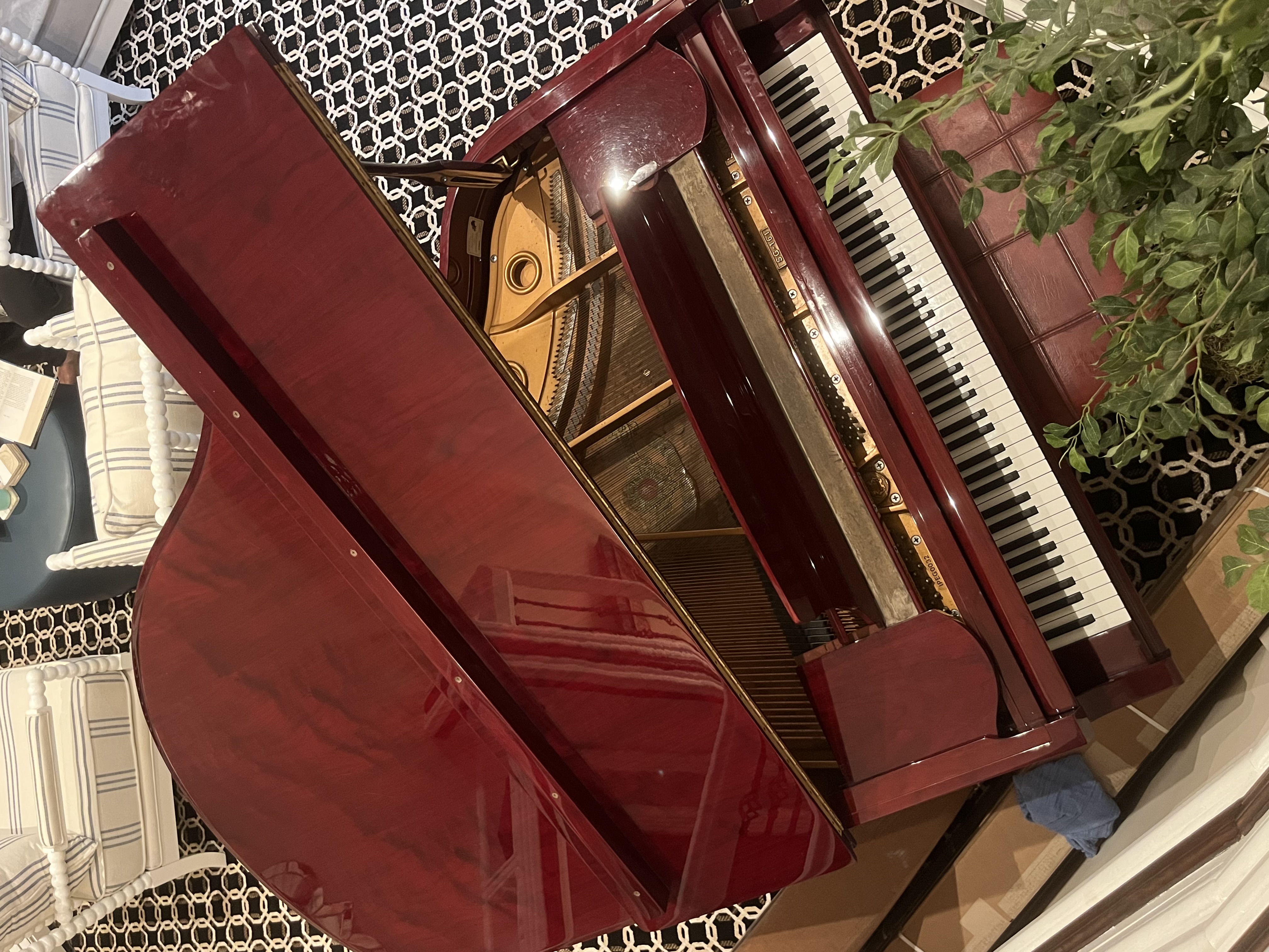 Pristine Samick SG-161 with bench