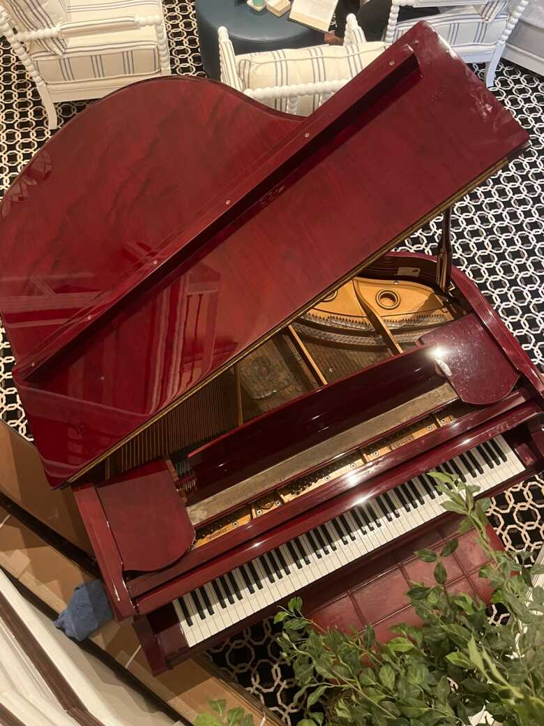 Pristine Samick SG-161 with bench