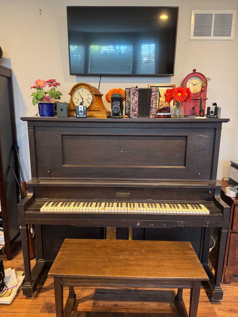 Antique Gulbrasen Player Piano