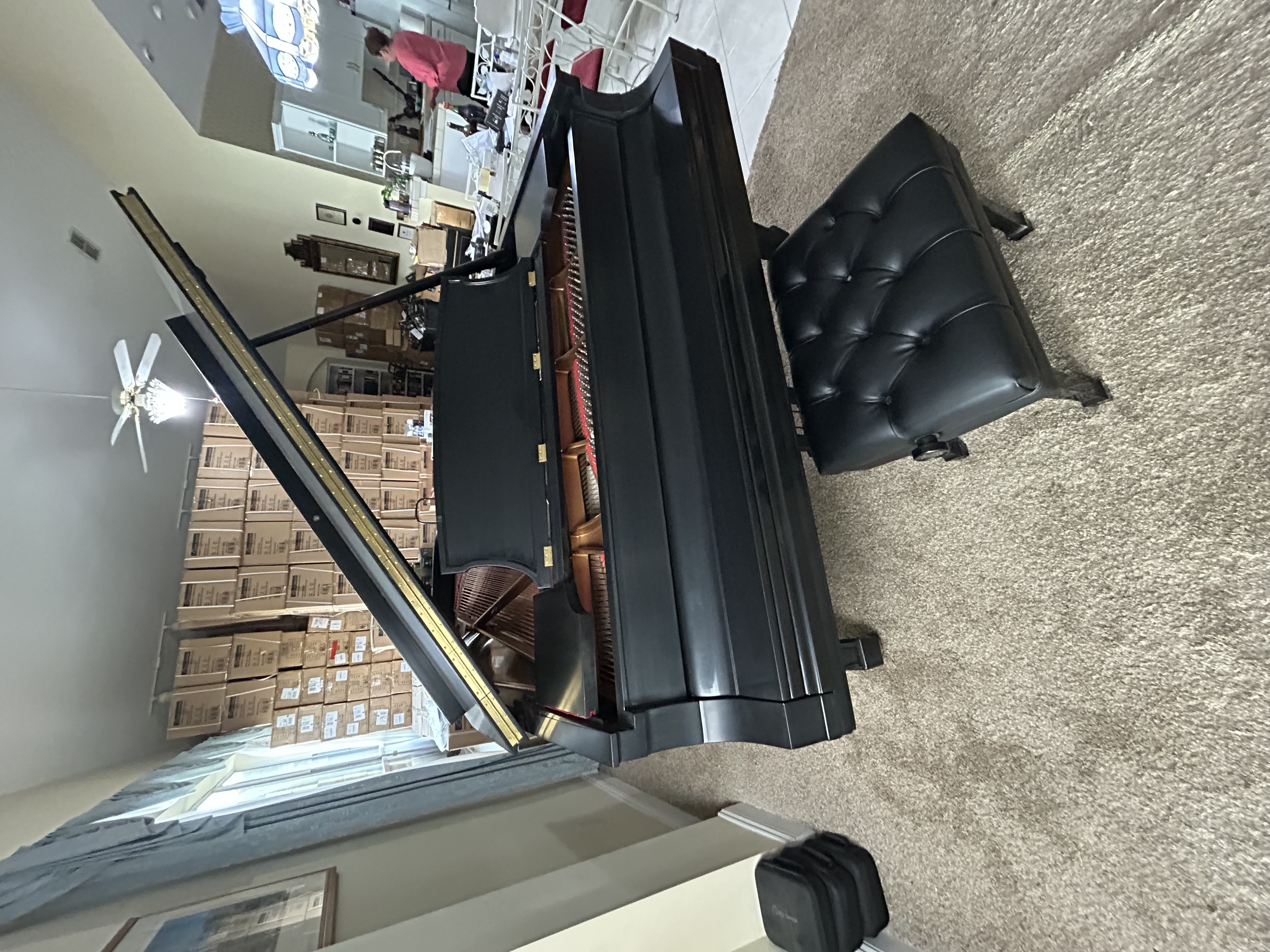 Steinway & Sons Grand Piano model D