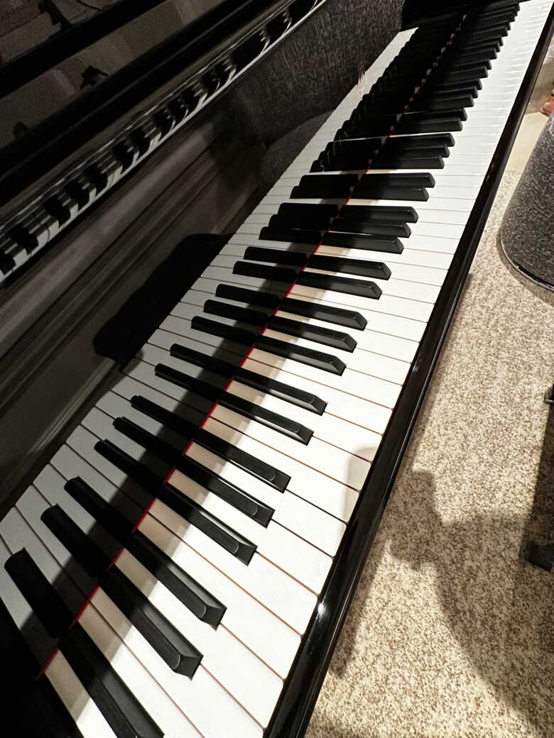 2020 Steinway & Sons Model D 9’ Concert Grand (NewYork)