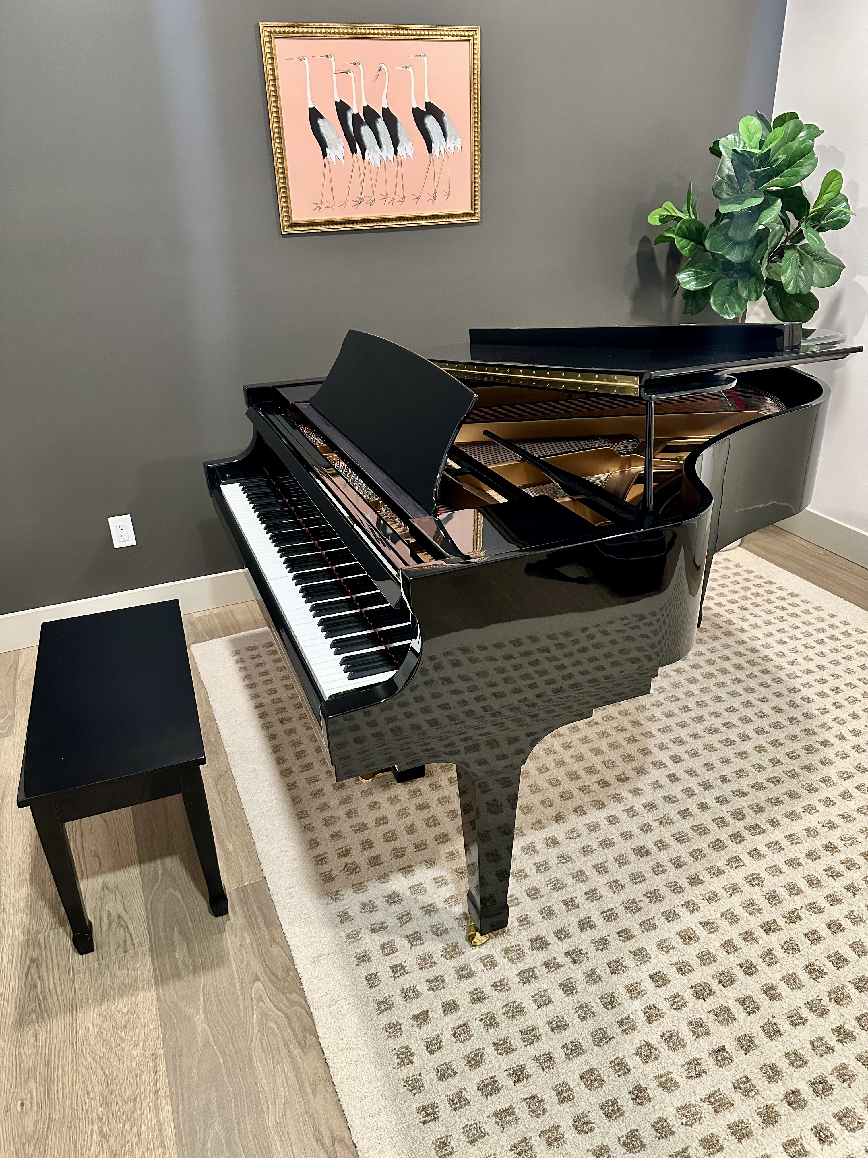 -- Essex Grand Piano -- Designed by Steinway & Son's
