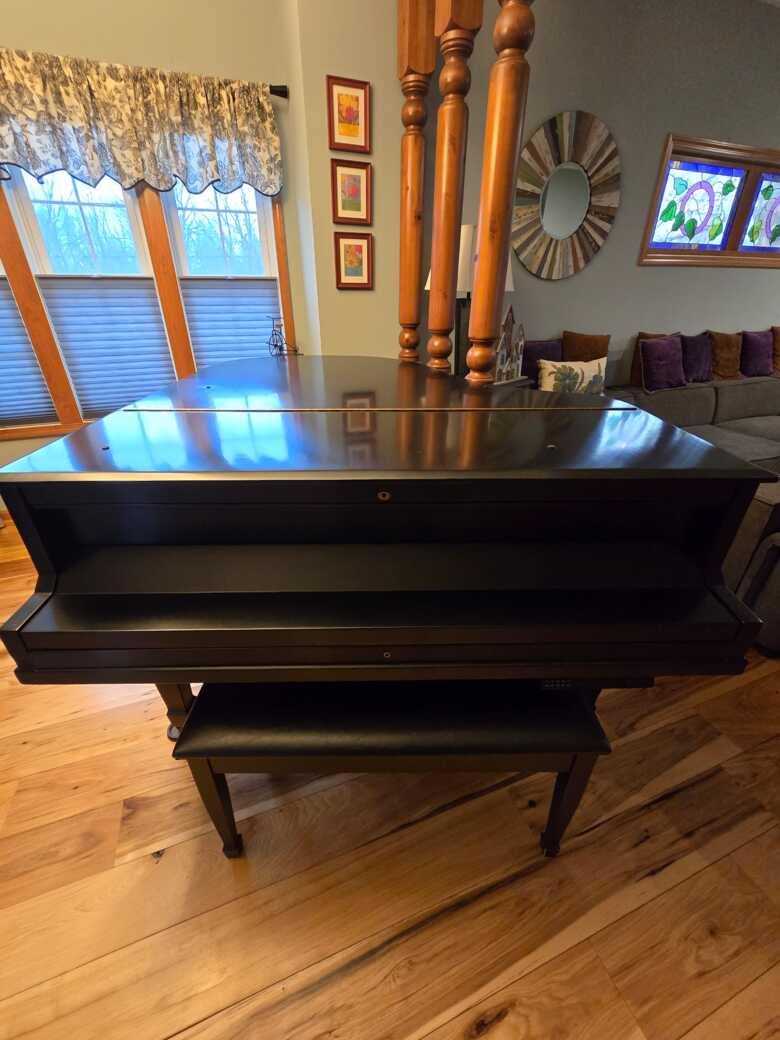 Black Baby Grand with PianoDisc Player