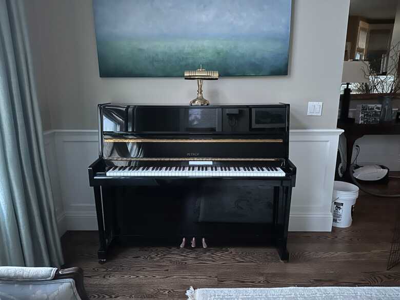 Petrof Upright Pristine Piano