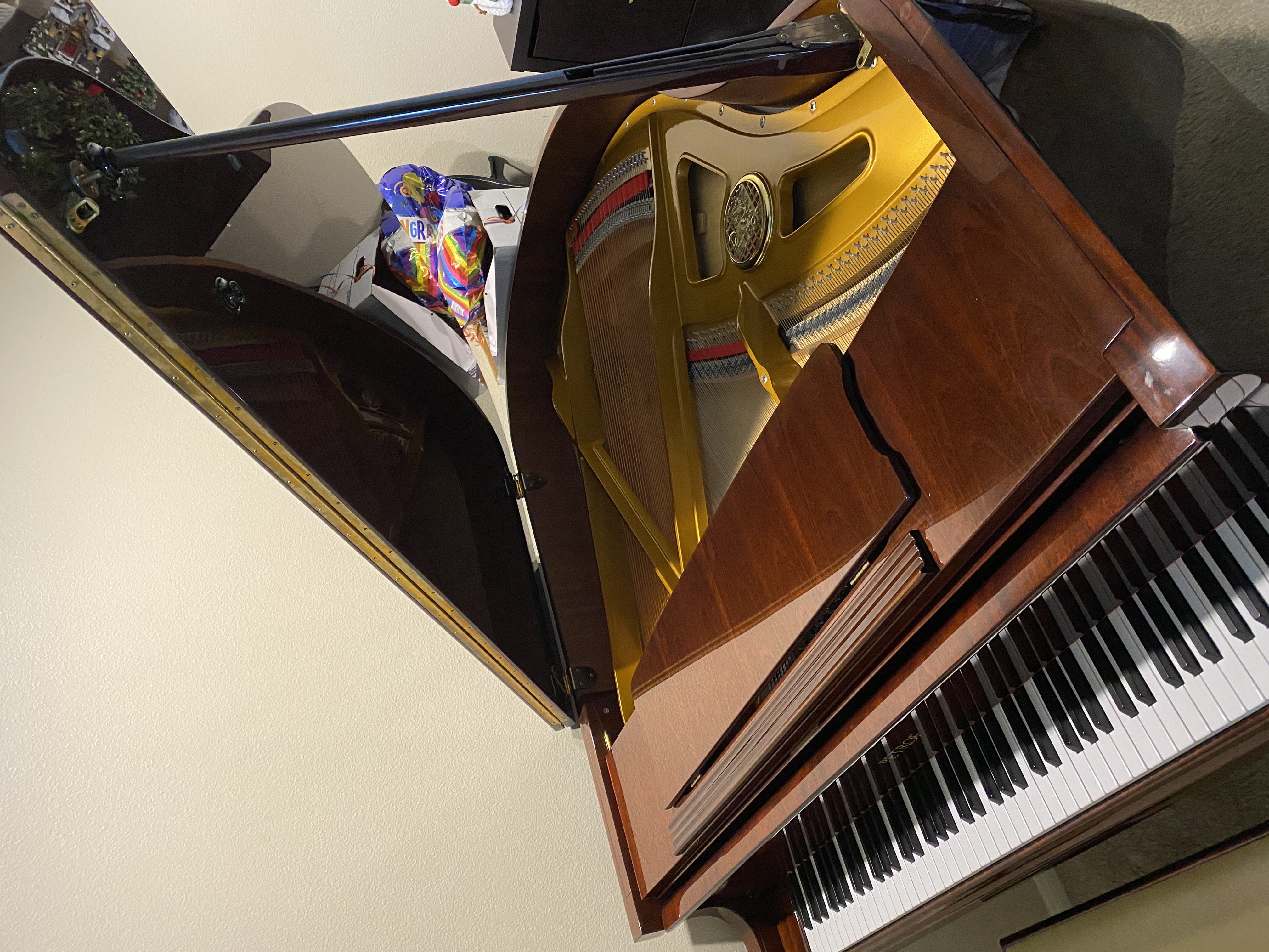 Petrof Model V Baby Grand Piano