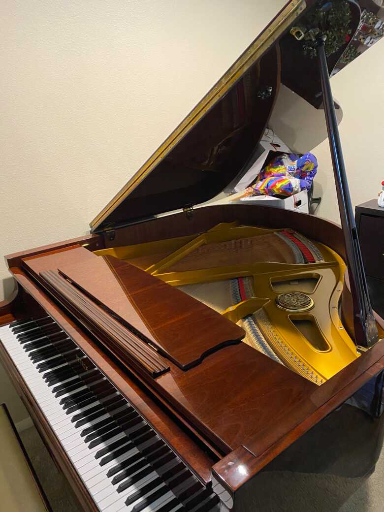 Petrof Model V Baby Grand Piano