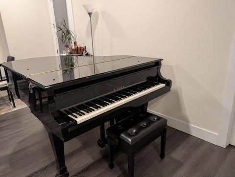 Well-Maintained Kawai GX-2 - Single Owner