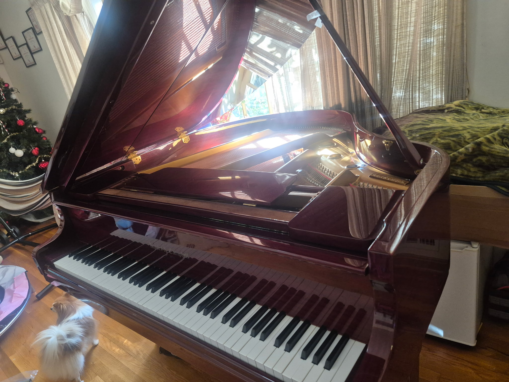 aby Grand Piano – Kohler & Campbell – Appraised – $2,100 OBO