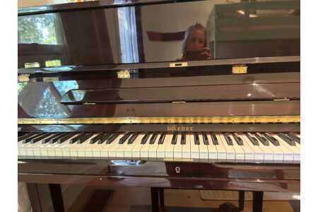 Excellent condition Weber upright