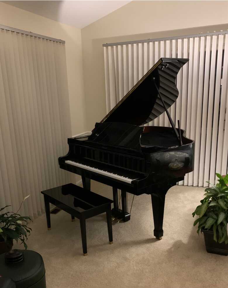 Well Cared for Beauty