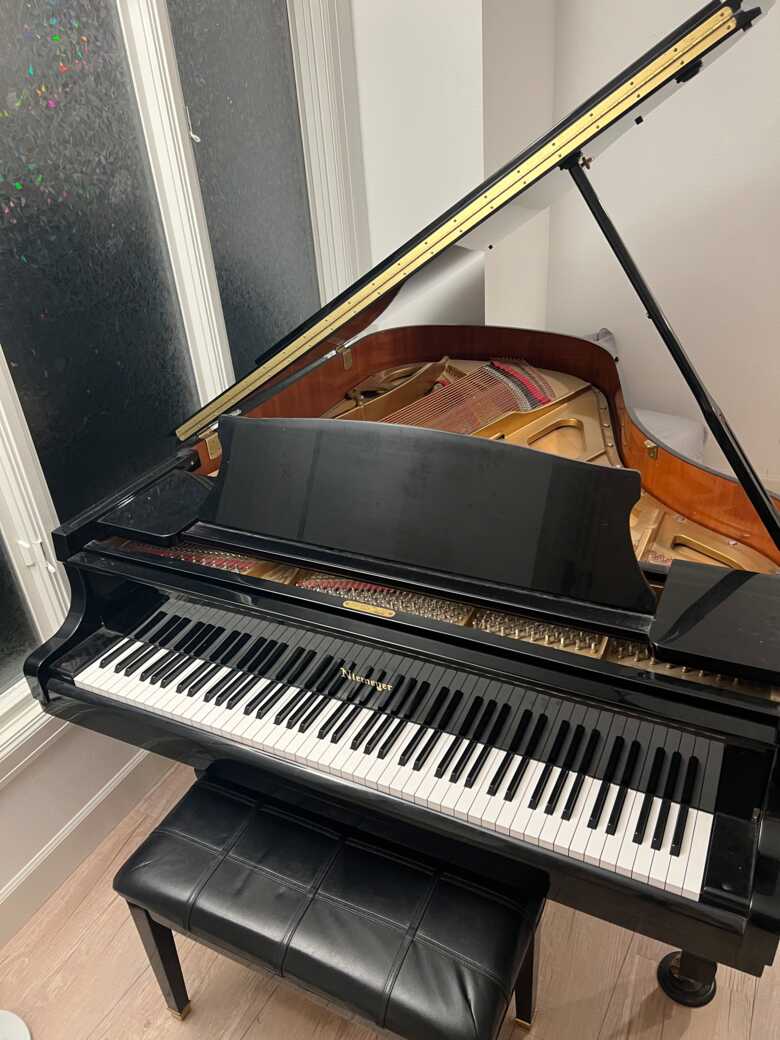 Niemeyer Professional Grand Piano