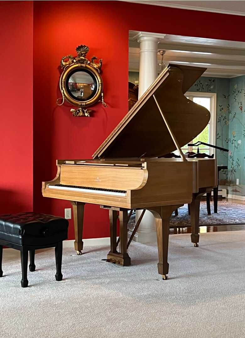 Blondes have more fun !