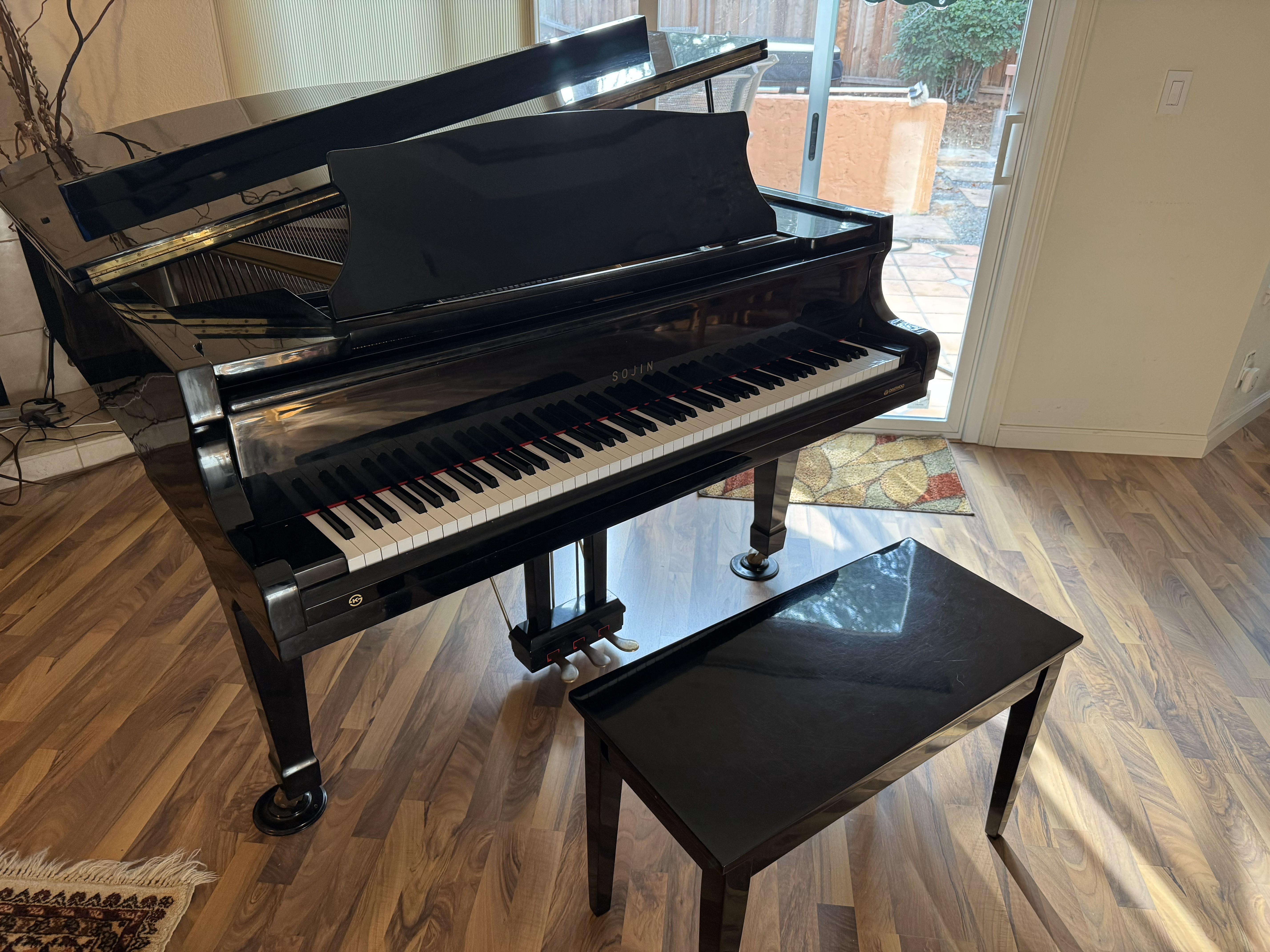 Polished ebony Sojin DG-2