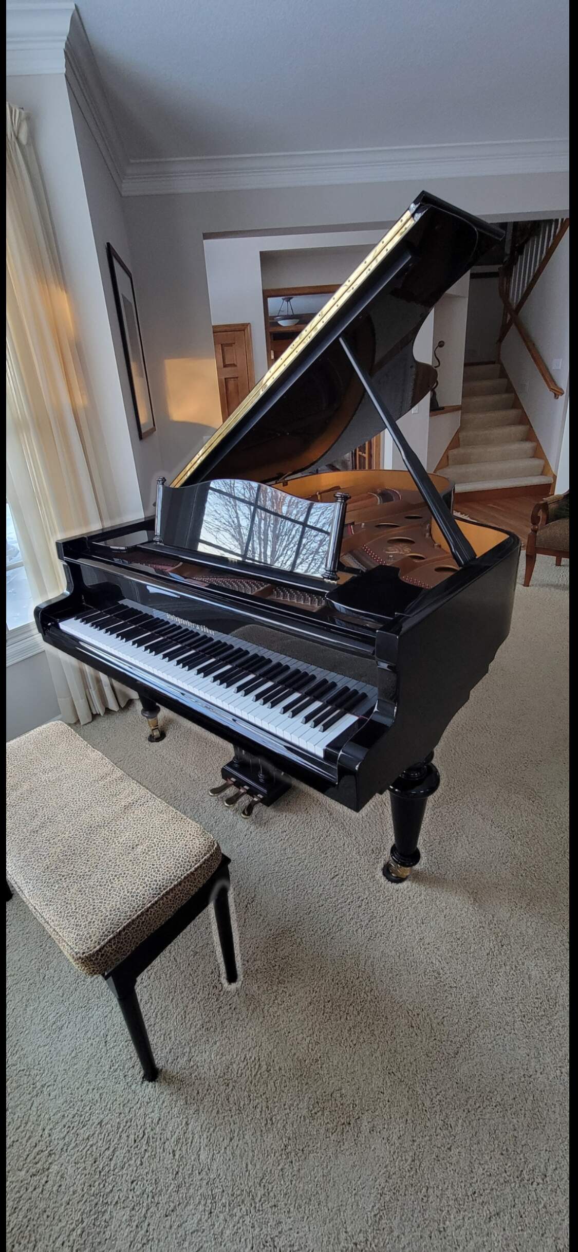 Steingraeber & Sohne Model 205 Grand