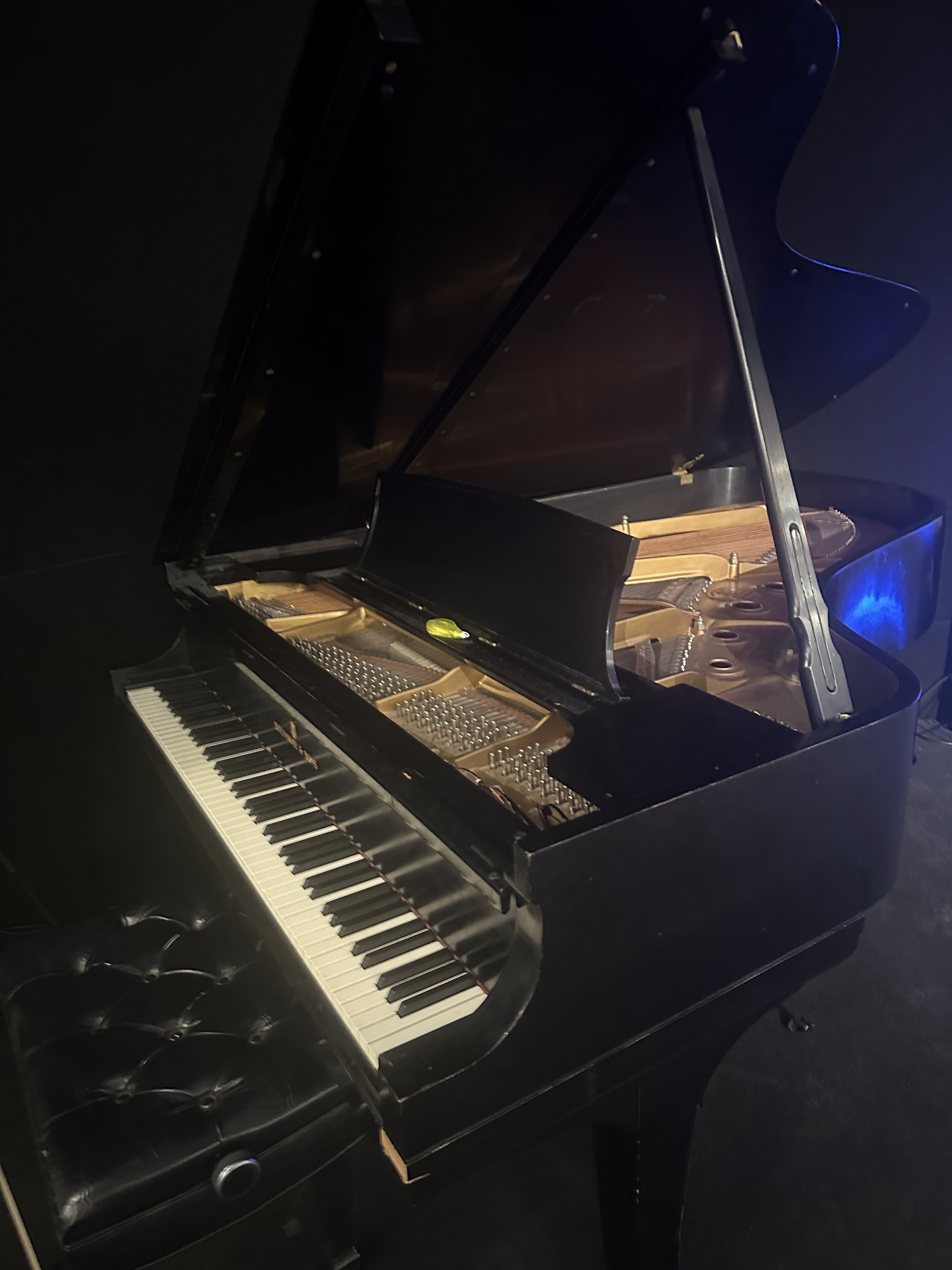 Steinway & Sons Model B Grand Piano – Ebonized Black – Seria