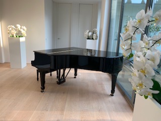 neuwertiger, gepflegter Steinway-Flügel