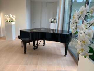 neuwertiger, gepflegter Steinway-Flügel
