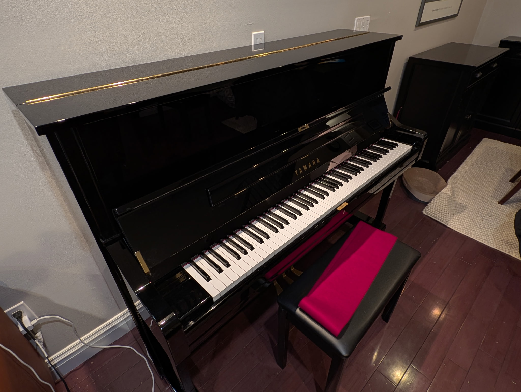 Lightly Used in Pristine Condition