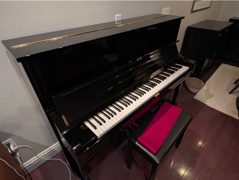 Lightly Used in Pristine Condition