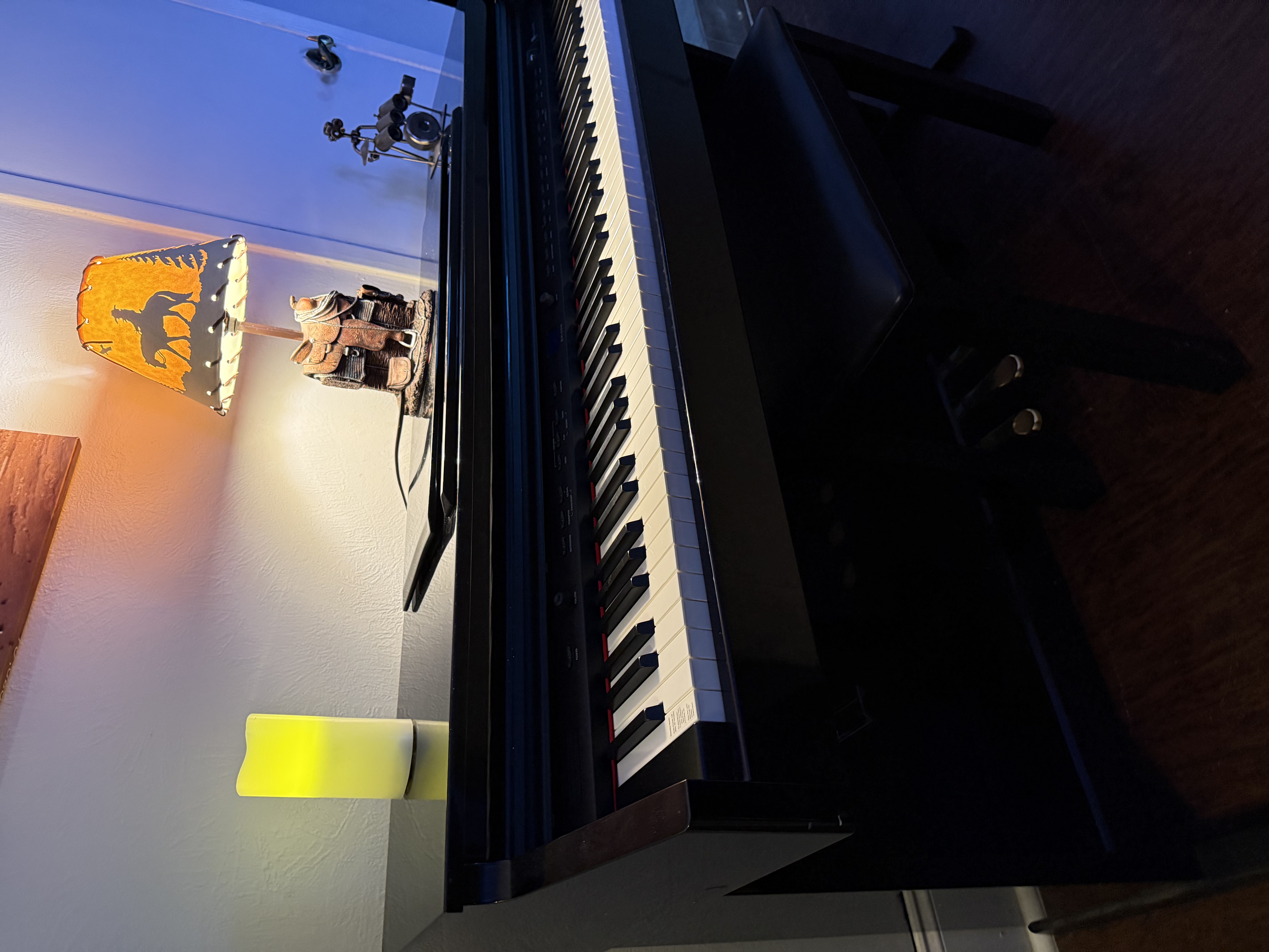 Williams Brioso Digital Piano