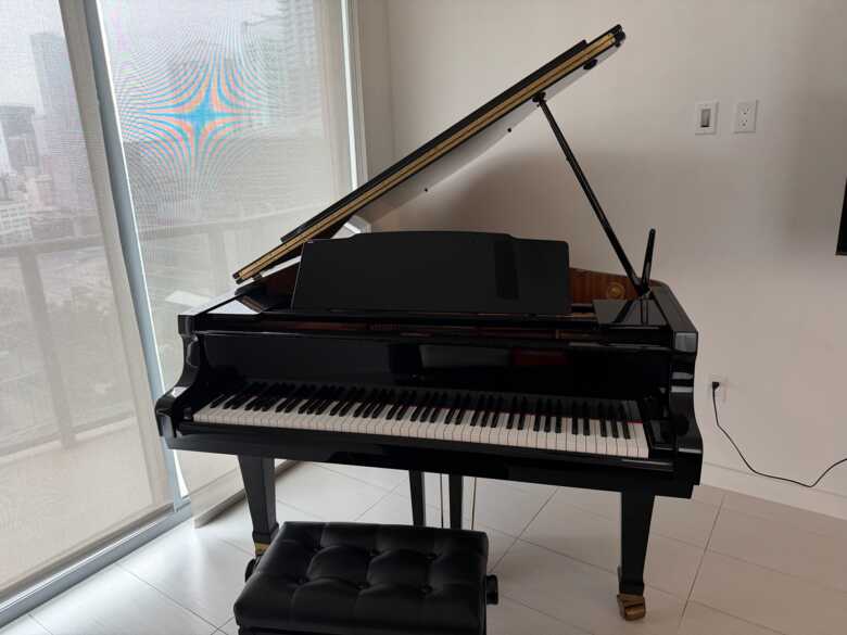 Baby Grand Miami Great Condition 