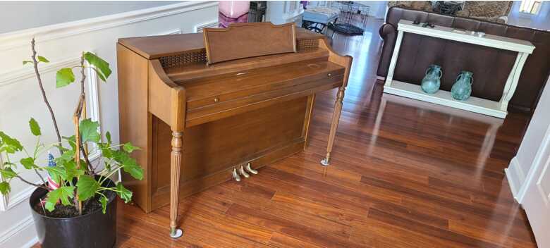 Reliable & Durable Steck piano Great for lessons or learning