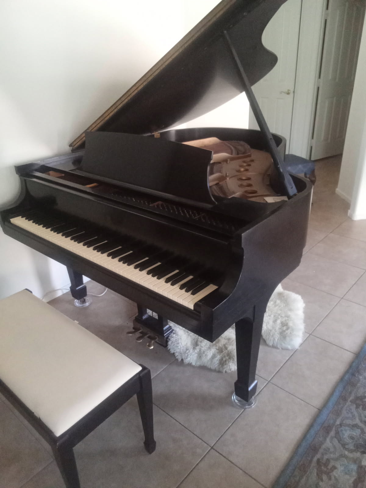 1970 Steinway Model M