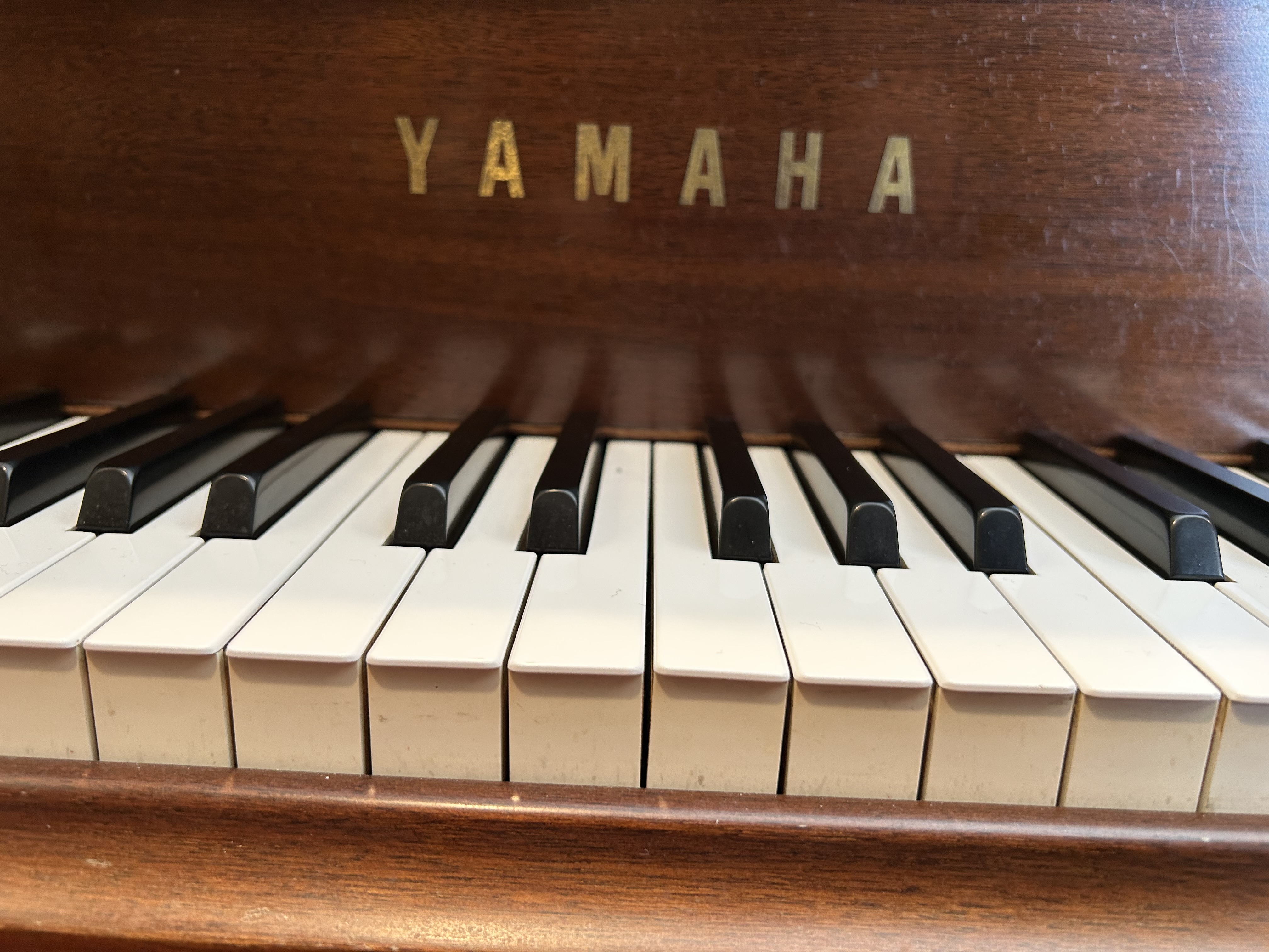 Yamaha baby grand . Walnut satin finish 