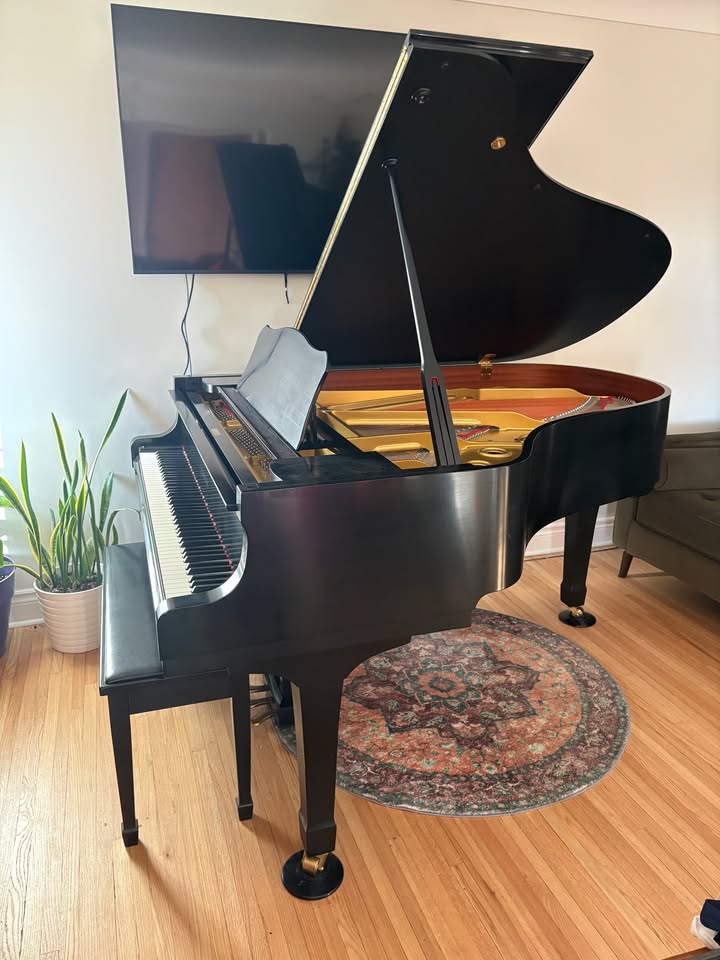 Yamaha C3 Professional Grand Piano